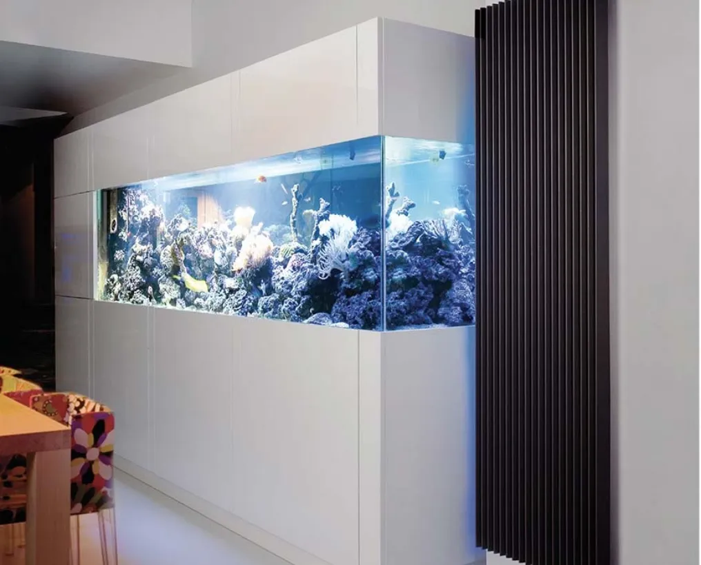 Designer Radiators